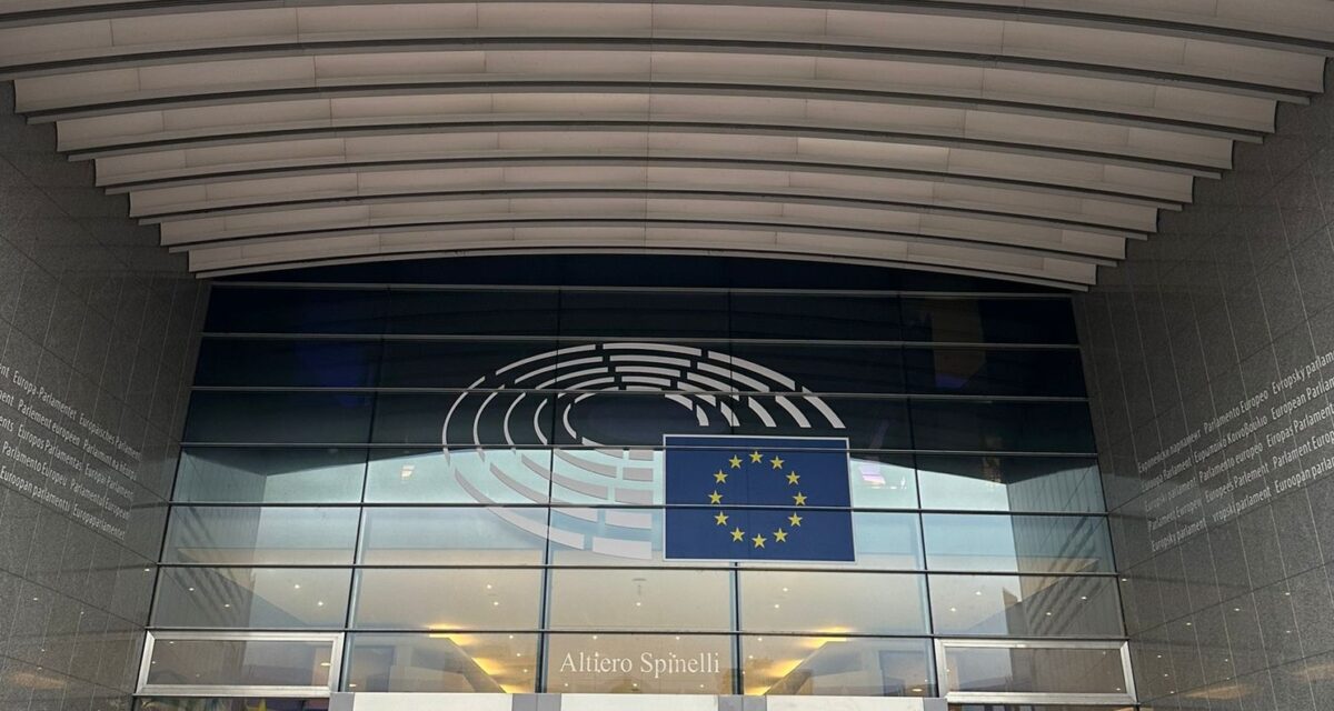 Una delegación de EDC se reúne con eurodiputados en Bruselas para abordar las prioridades de los estibadores europeos